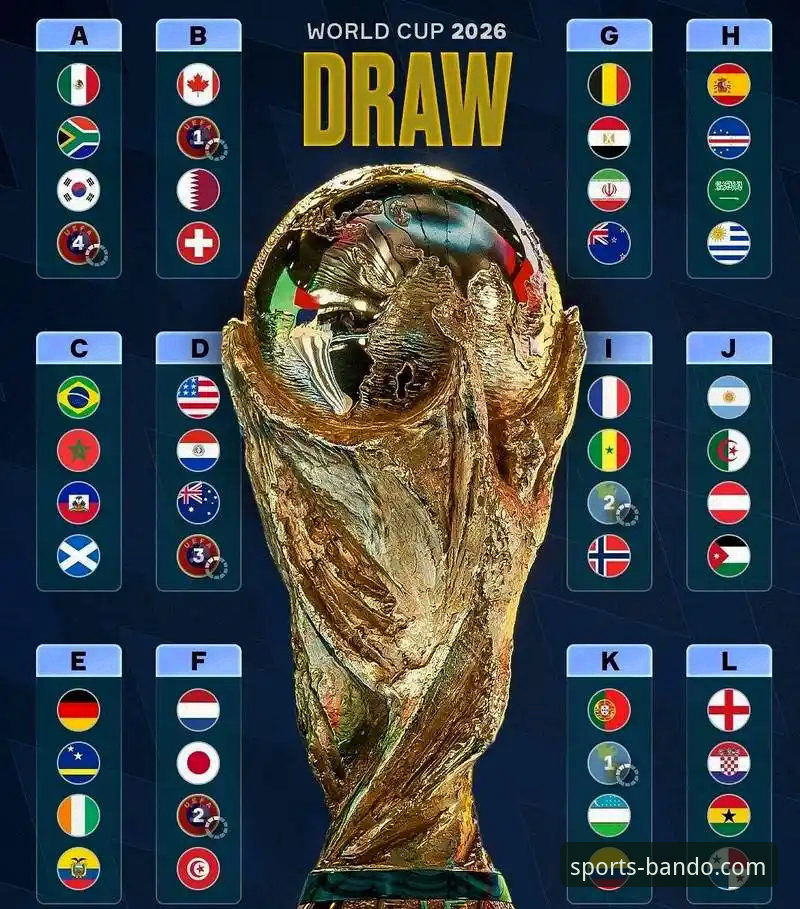 世界杯洲际附加赛绝杀之夜操作教程——如何在半岛体育平台深度回顾民主刚果52年重返世界杯